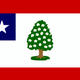 Mississippi's state flag, 1861–1865 features a magnolia tree